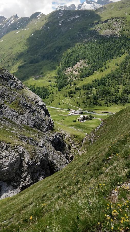 Hotel Fex Sils Maria Luaran gambar
